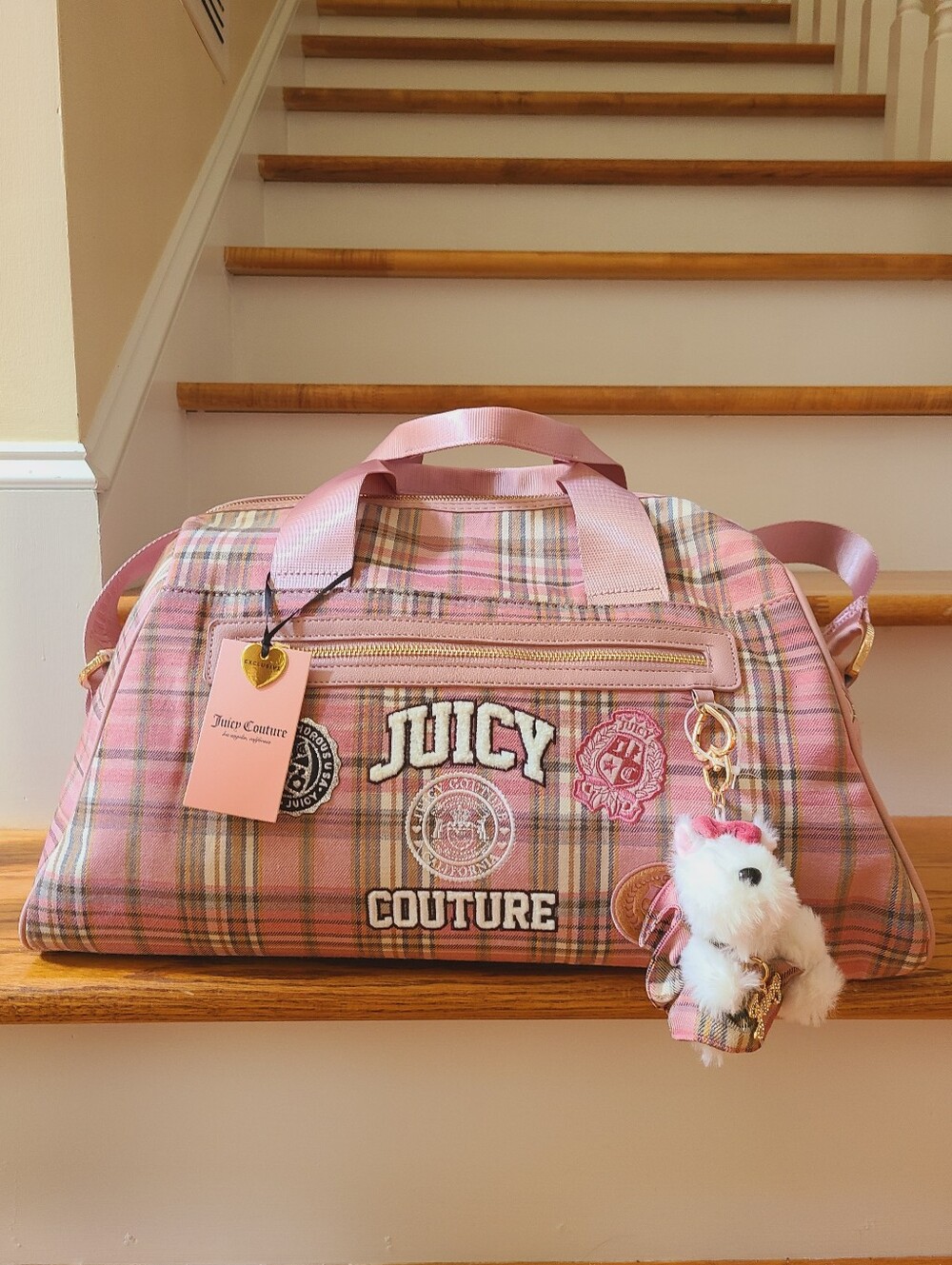 Juicy Couture Bag 💗